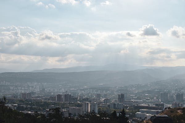 Net-Zero Transition Planning